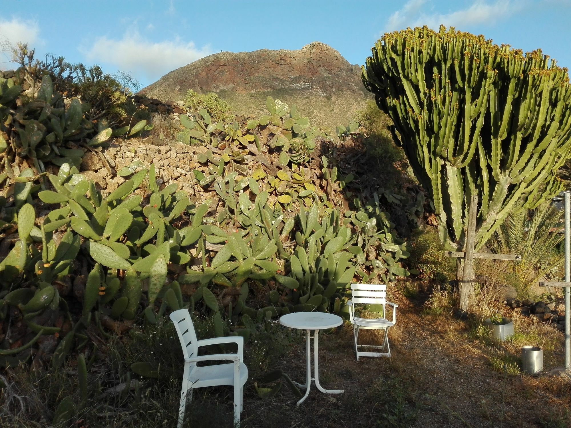 Finca Patio Canario Arona  Extérieur photo